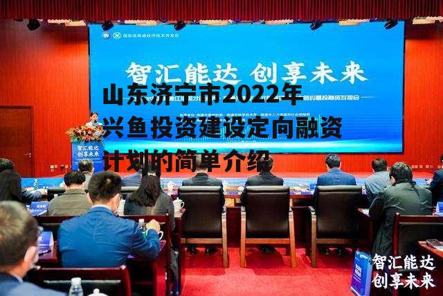 山东济宁市2022年兴鱼投资建设定向融资计划的简单介绍