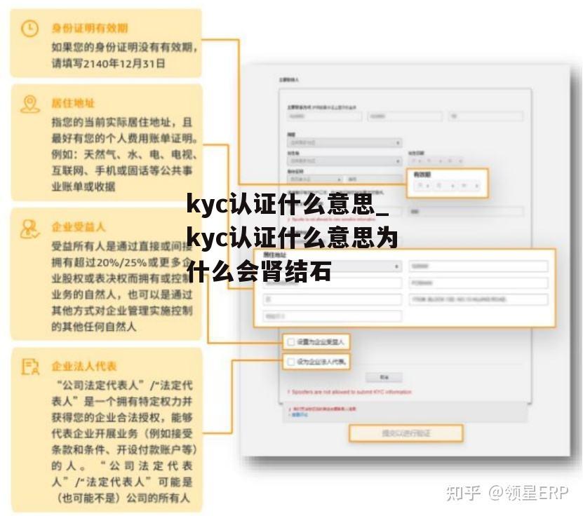 kyc认证什么意思_kyc认证什么意思为什么会肾结石