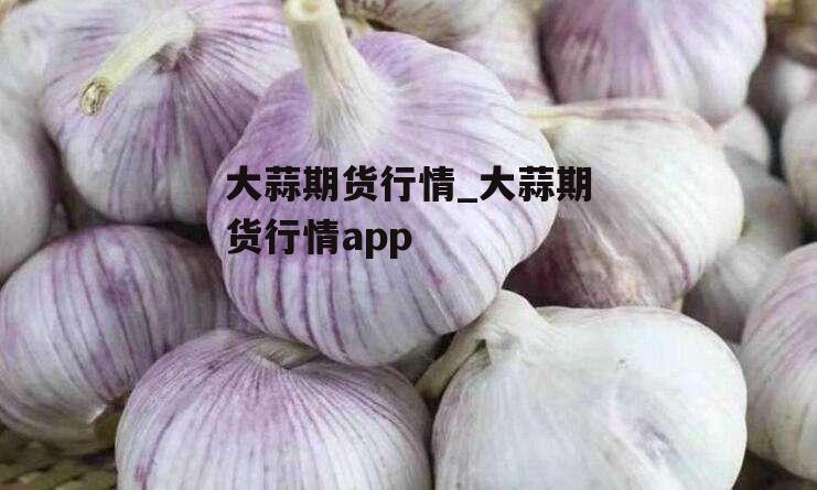 大蒜期货行情_大蒜期货行情app