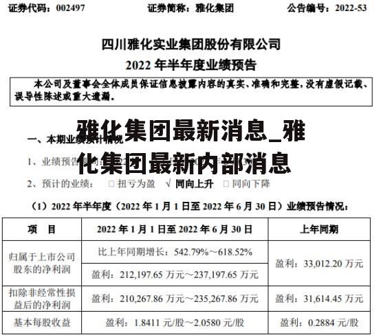 雅化集团最新消息_雅化集团最新内部消息