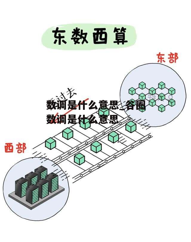 数调是什么意思_谷圈数调是什么意思