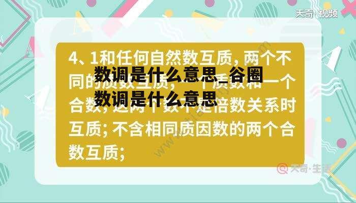 数调是什么意思_谷圈数调是什么意思