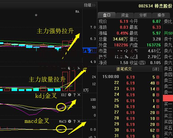 比音勒芬股票_比音勒芬股票代码