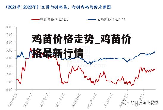 鸡苗价格走势_鸡苗价格最新行情