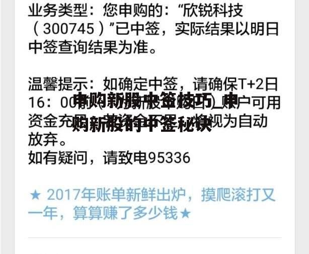 申购新股中签技巧_申购新股的中签秘诀