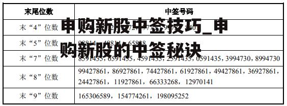 申购新股中签技巧_申购新股的中签秘诀