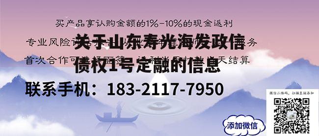 关于山东寿光海发政信债权1号定融的信息