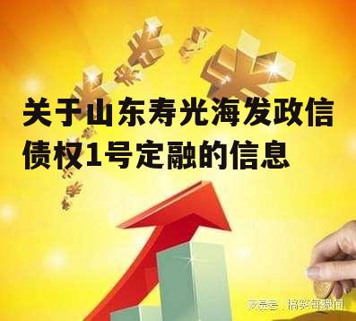 关于山东寿光海发政信债权1号定融的信息