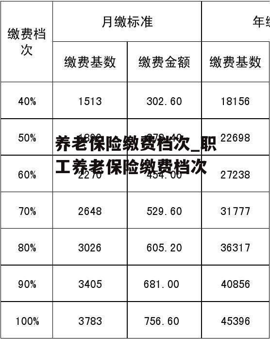 养老保险缴费档次_职工养老保险缴费档次