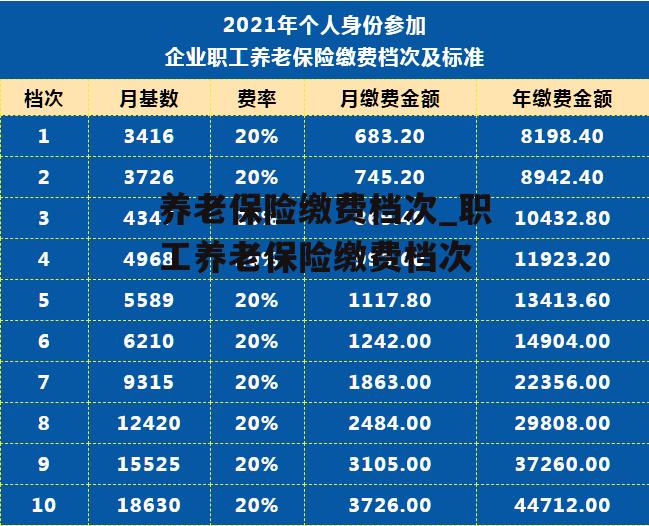 养老保险缴费档次_职工养老保险缴费档次