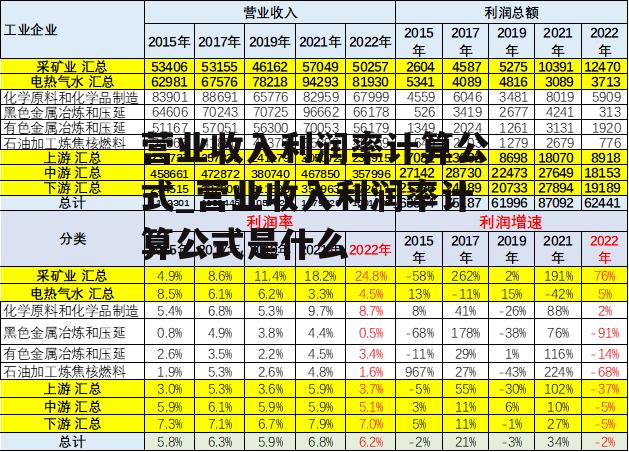 营业收入利润率计算公式_营业收入利润率计算公式是什么