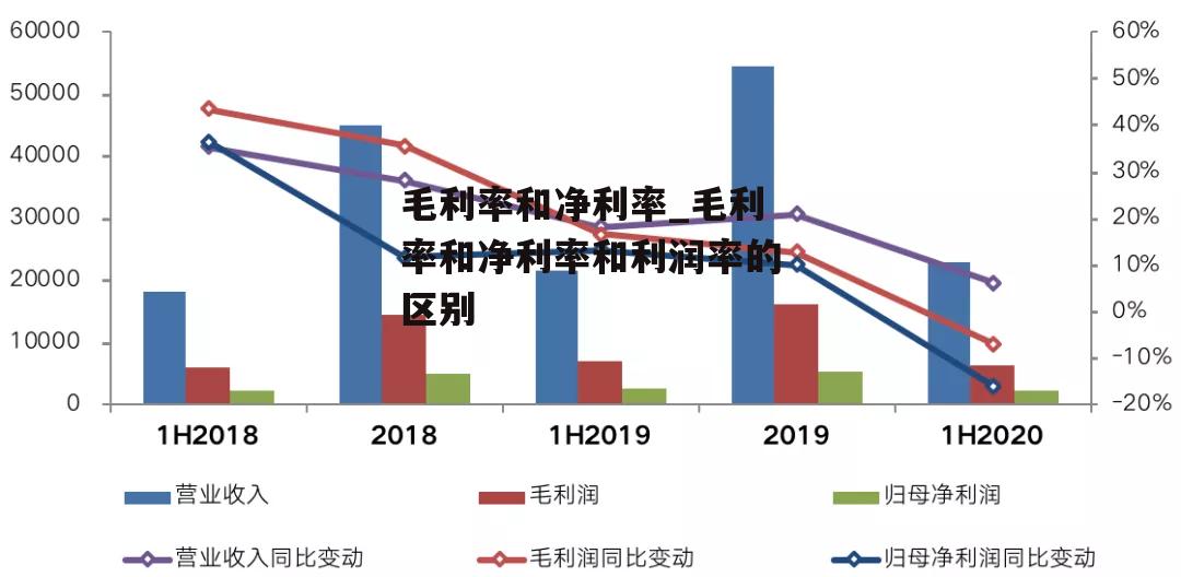 毛利率和净利率_毛利率和净利率和利润率的区别