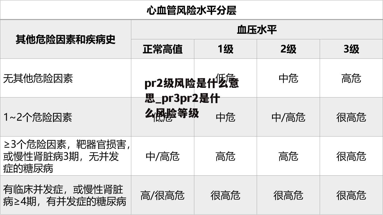 pr2级风险是什么意思_pr3pr2是什么风险等级