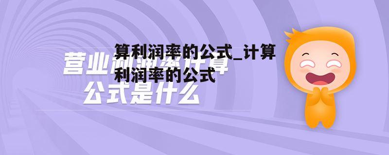 算利润率的公式_计算利润率的公式