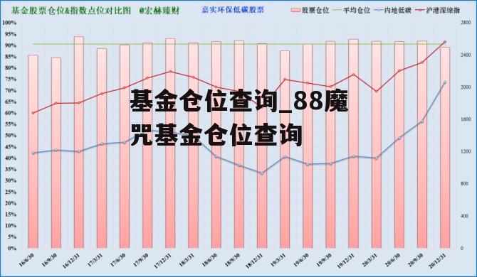 基金仓位查询_88魔咒基金仓位查询