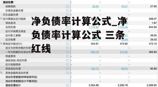 净负债率计算公式_净负债率计算公式 三条红线