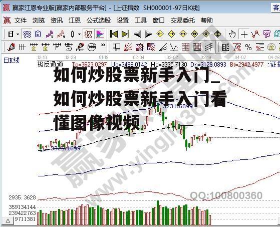 如何炒股票新手入门_如何炒股票新手入门看懂图像视频