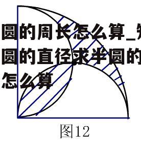 半圆的周长怎么算_知道圆的直径求半圆的周长怎么算