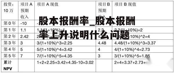 股本报酬率_股本报酬率上升说明什么问题