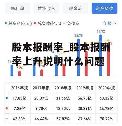 股本报酬率_股本报酬率上升说明什么问题