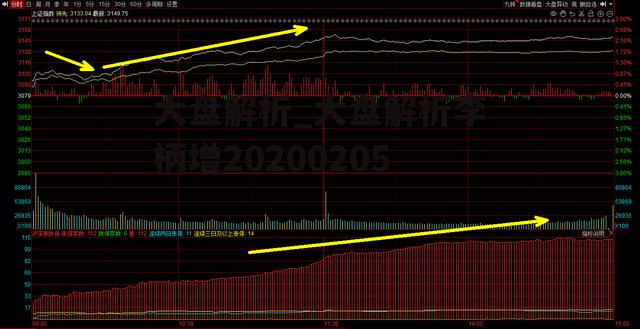 大盘解析_大盘解析李柄增20200205