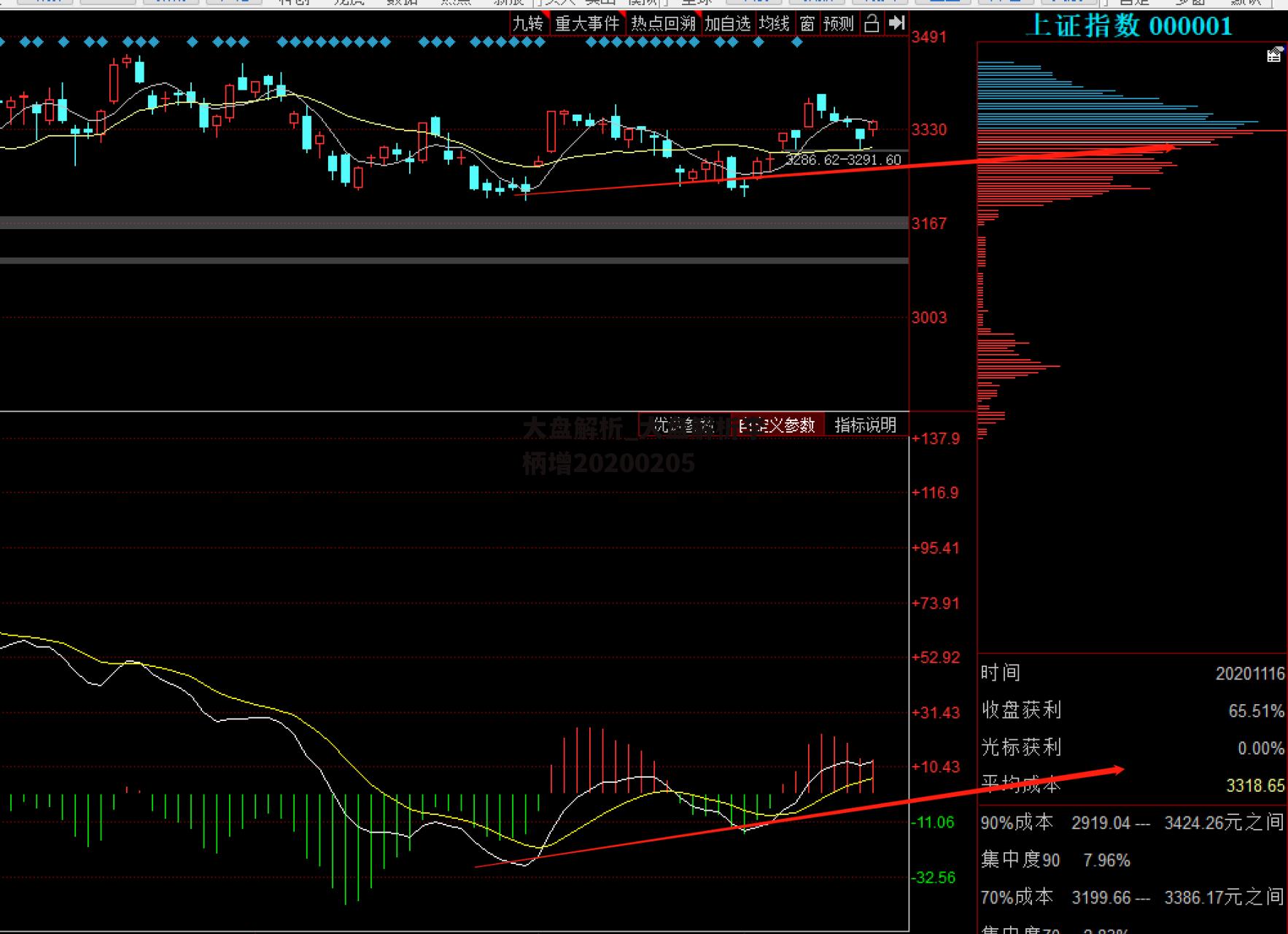 大盘解析_大盘解析李柄增20200205