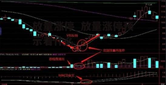 放量涨停_放量涨停预示着什么