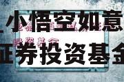 万疆一号私募证券投资基金_小悟空如意一号私募证券投资基金