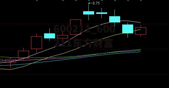 600211_600211东方财富