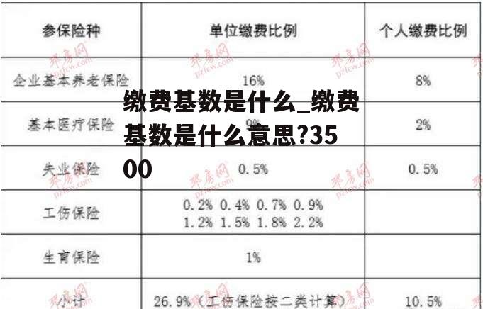 缴费基数是什么_缴费基数是什么意思?3500