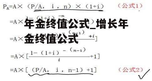 年金终值公式_增长年金终值公式