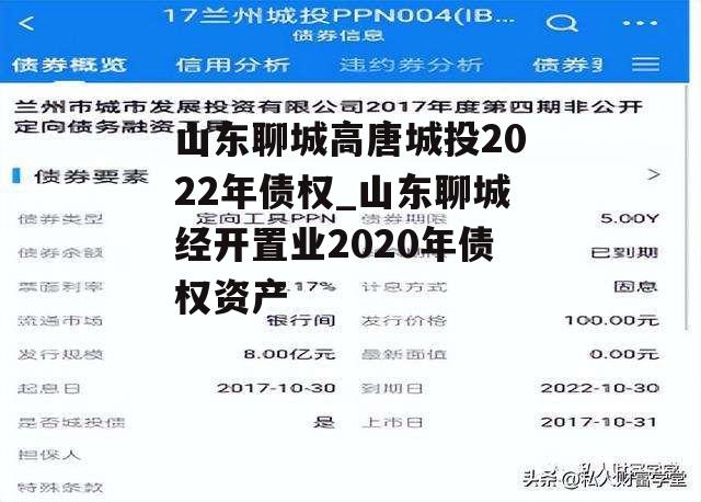 山东聊城高唐城投2022年债权_山东聊城经开置业2020年债权资产