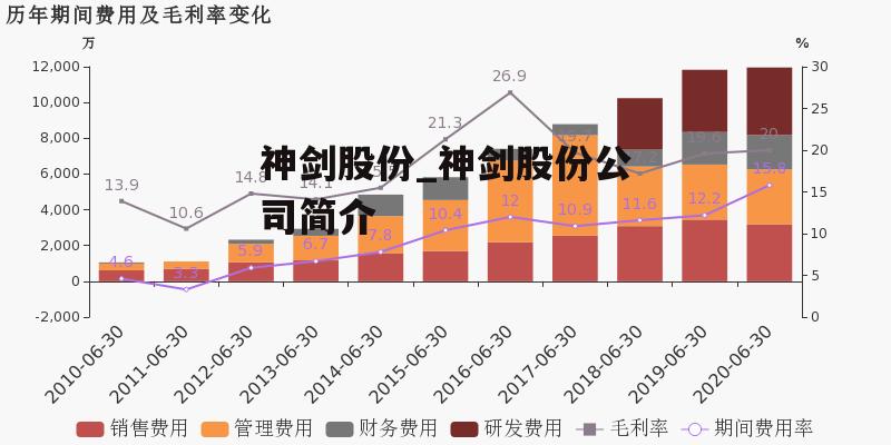 神剑股份_神剑股份公司简介