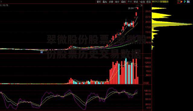 翠微股份股票_翠微股份股票历史交易数据