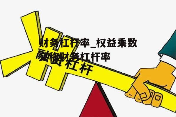 财务杠杆率_权益乘数又称财务杠杆率