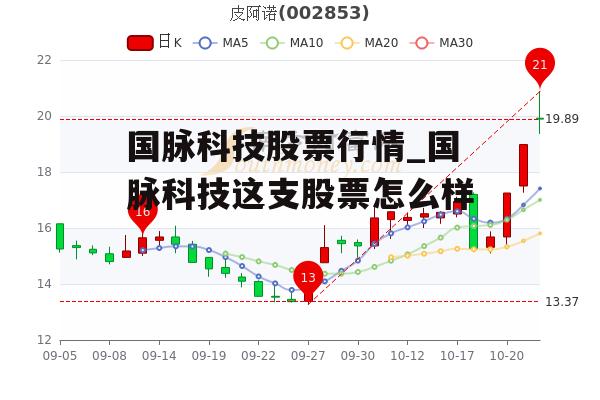 国脉科技股票行情_国脉科技这支股票怎么样