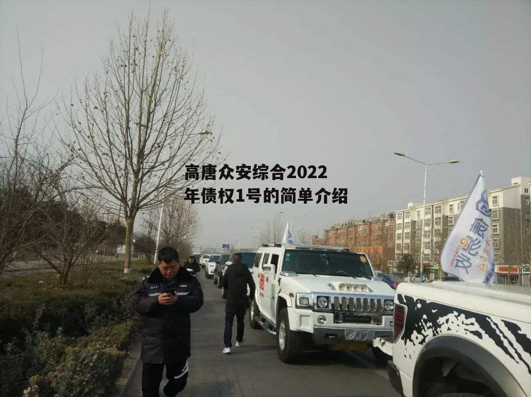 高唐众安综合2022年债权1号的简单介绍