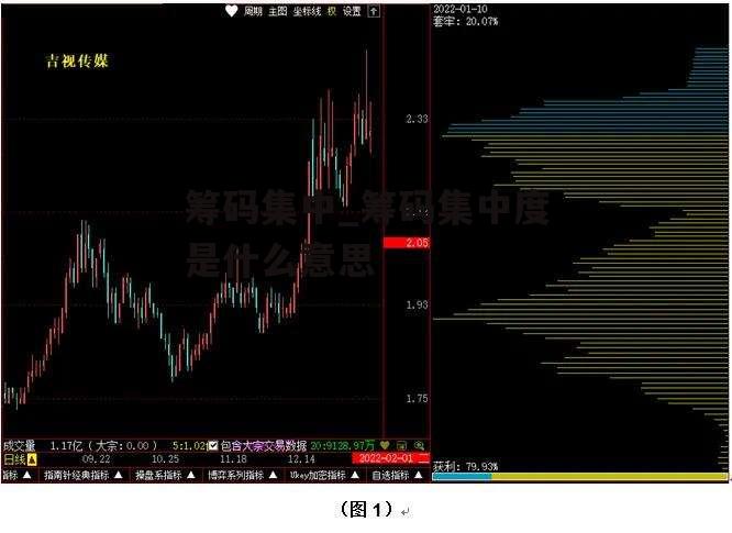 筹码集中_筹码集中度是什么意思