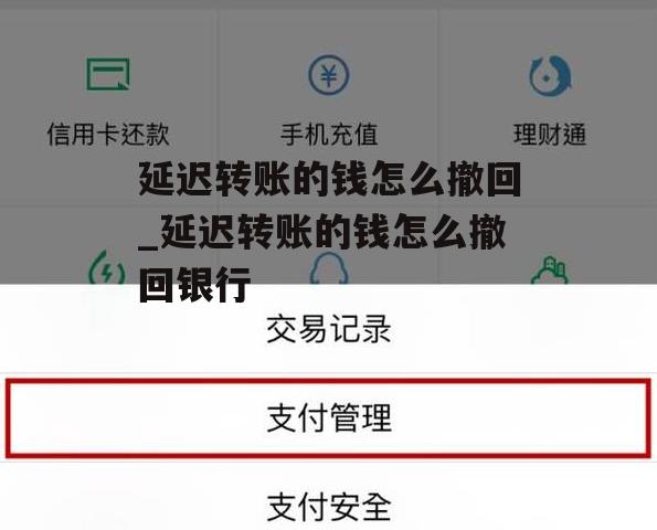 延迟转账的钱怎么撤回_延迟转账的钱怎么撤回银行