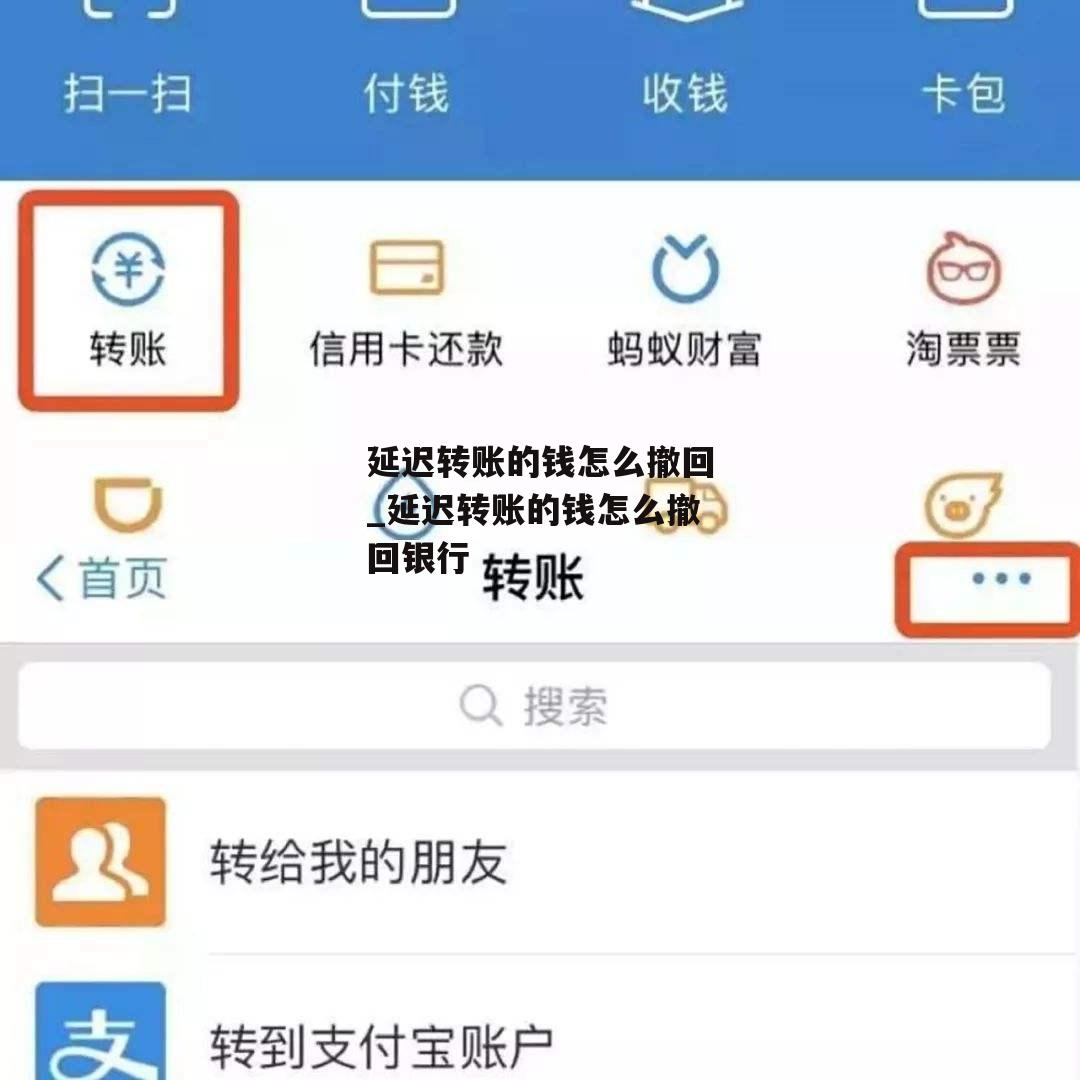 延迟转账的钱怎么撤回_延迟转账的钱怎么撤回银行