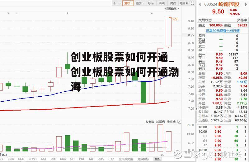 创业板股票如何开通_创业板股票如何开通渤海