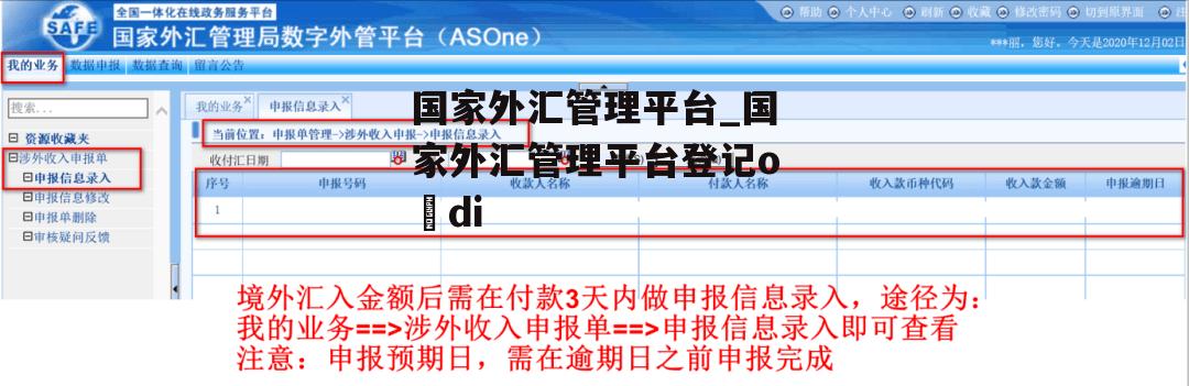 国家外汇管理平台_国家外汇管理平台登记o di