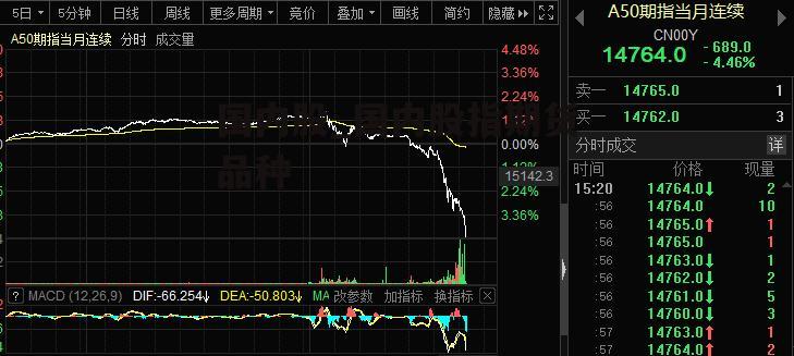 国内股_国内股指期货品种