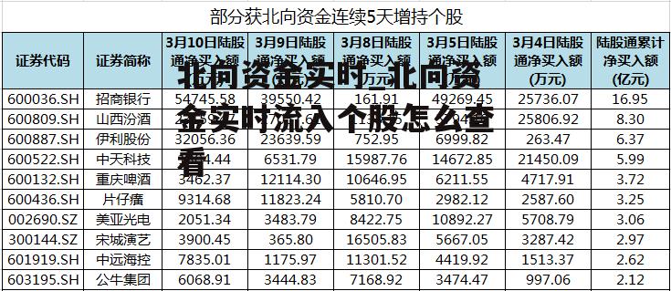 北向资金实时_北向资金实时流入个股怎么查看