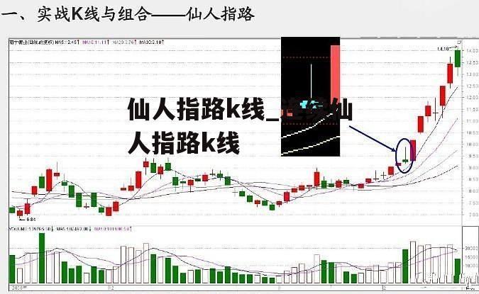 仙人指路k线_连续仙人指路k线