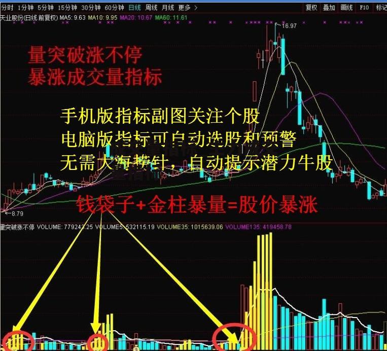 成交量指标_主力成交量指标