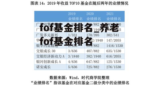 fof基金排名_养老fof基金排名