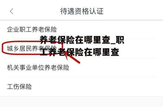 养老保险在哪里查_职工养老保险在哪里查