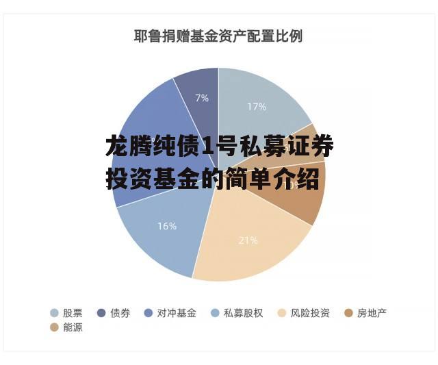 龙腾纯债1号私募证券投资基金的简单介绍