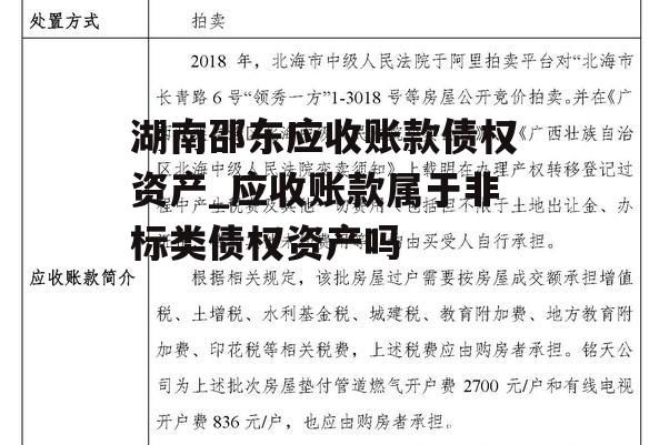 湖南邵东应收账款债权资产_应收账款属于非标类债权资产吗